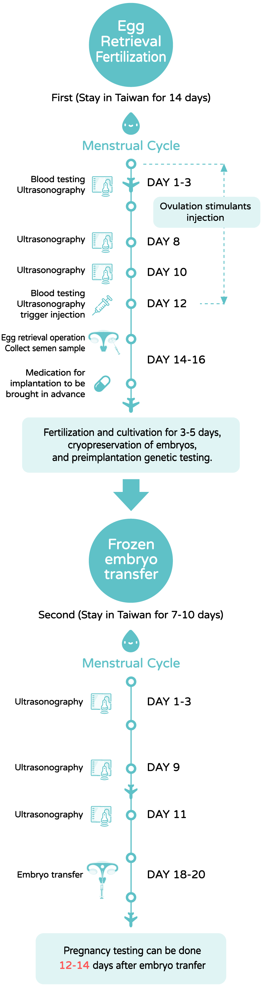 Own Eggs- In Vitro Fertilization (IVF)