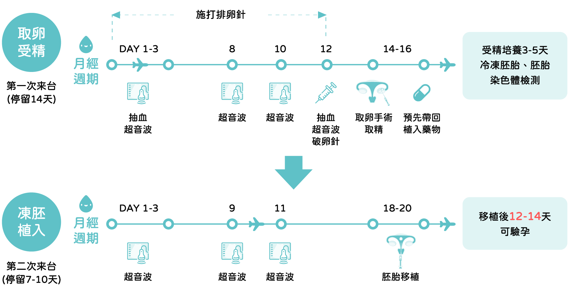 自卵療程