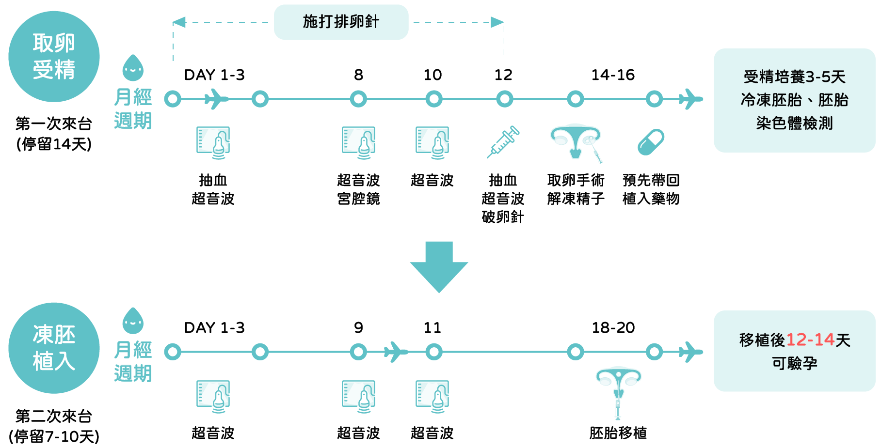 借精療程