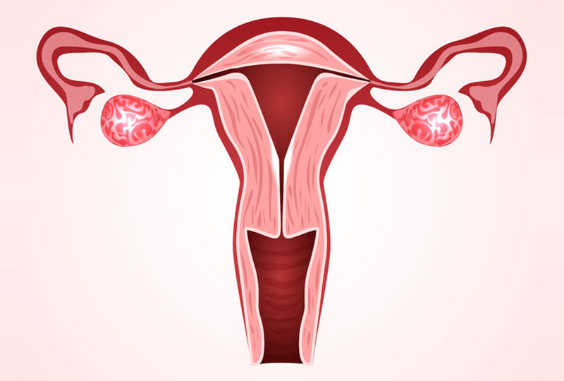 Diagnosis and Treatment of Female Infertility