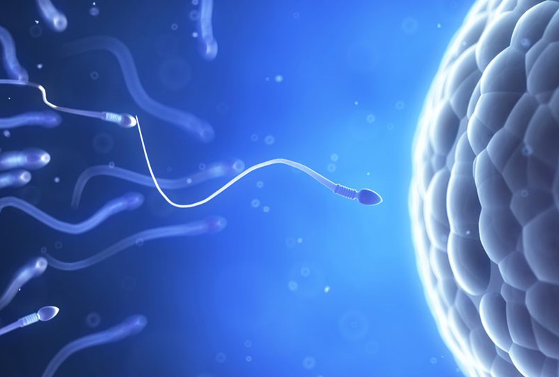 How to determine if semen is considered normal?